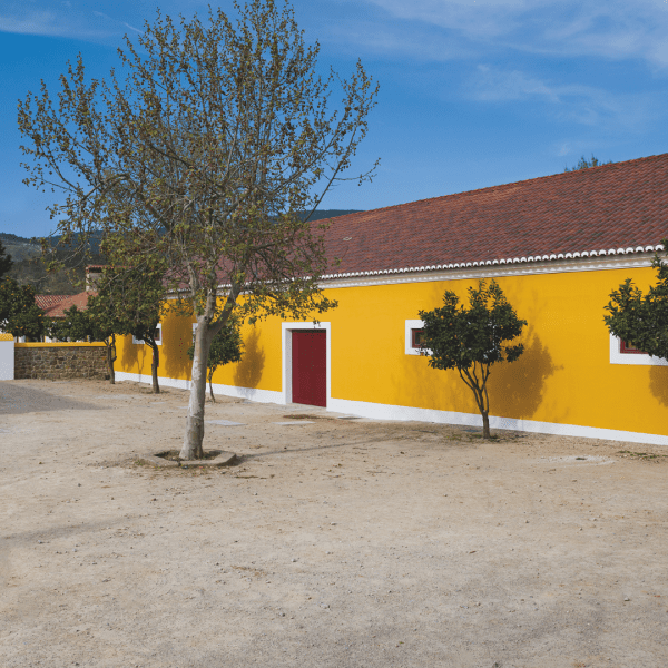 Quinta da Fonte Souto